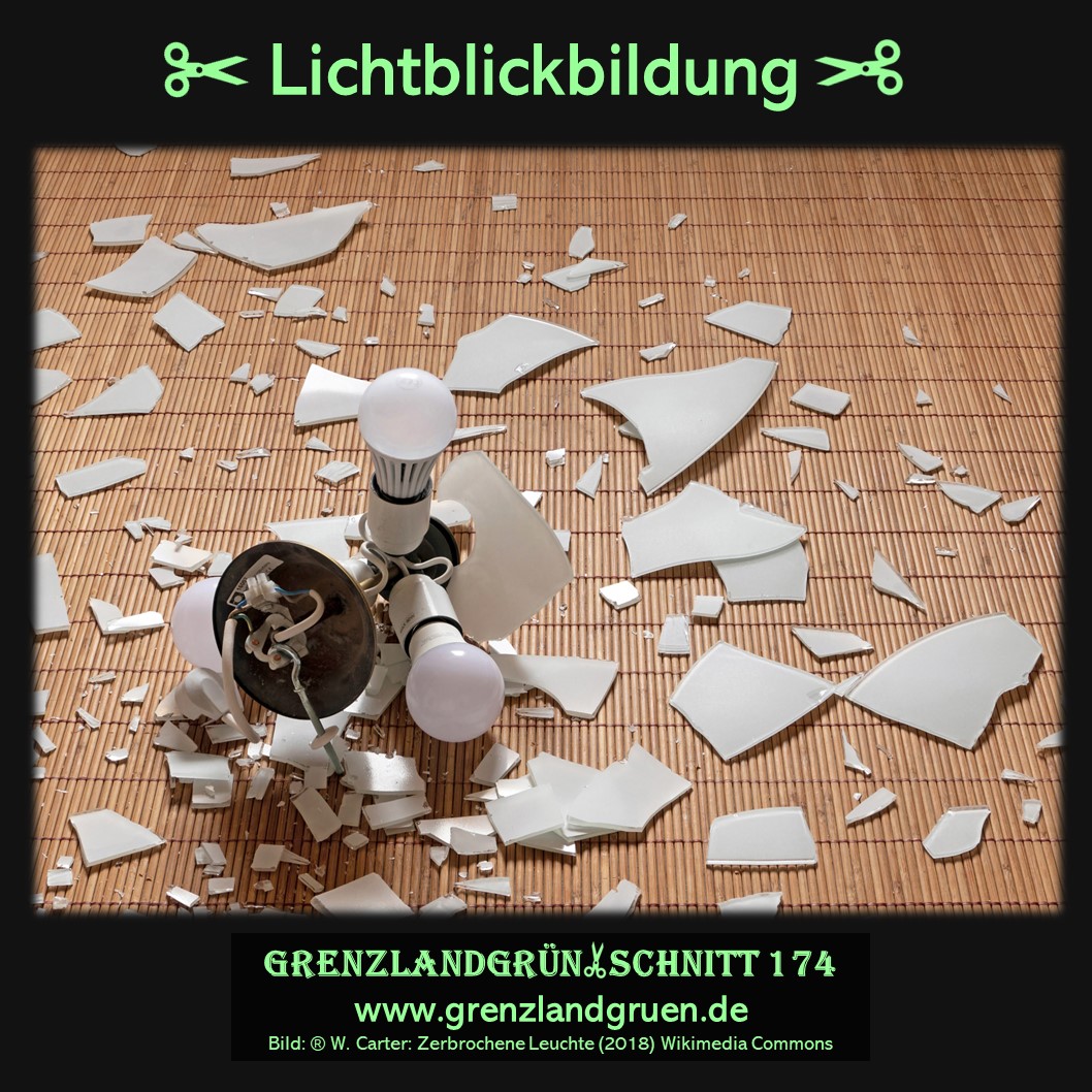 174 Lichtblickbildung.jpg